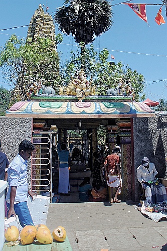 SriLan (613)